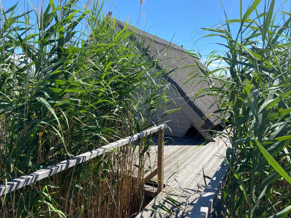 Seehuette Neusiedlersee - Waterfront 2 Rust Εξωτερικό φωτογραφία